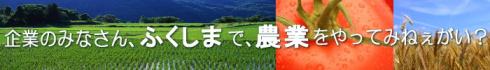企業の皆さん、福島で農業やってみねがい