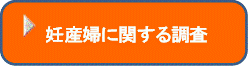 妊産婦に関する調査