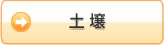 土壌