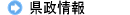 県政一般