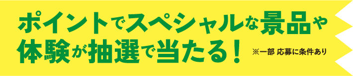 ポイントでスペシャルな景品や体験が抽選で当たる！