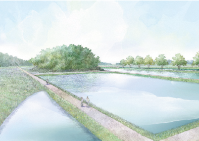 단고야마 의 이미지