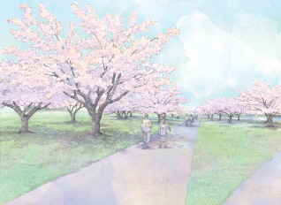 櫻花之丘1