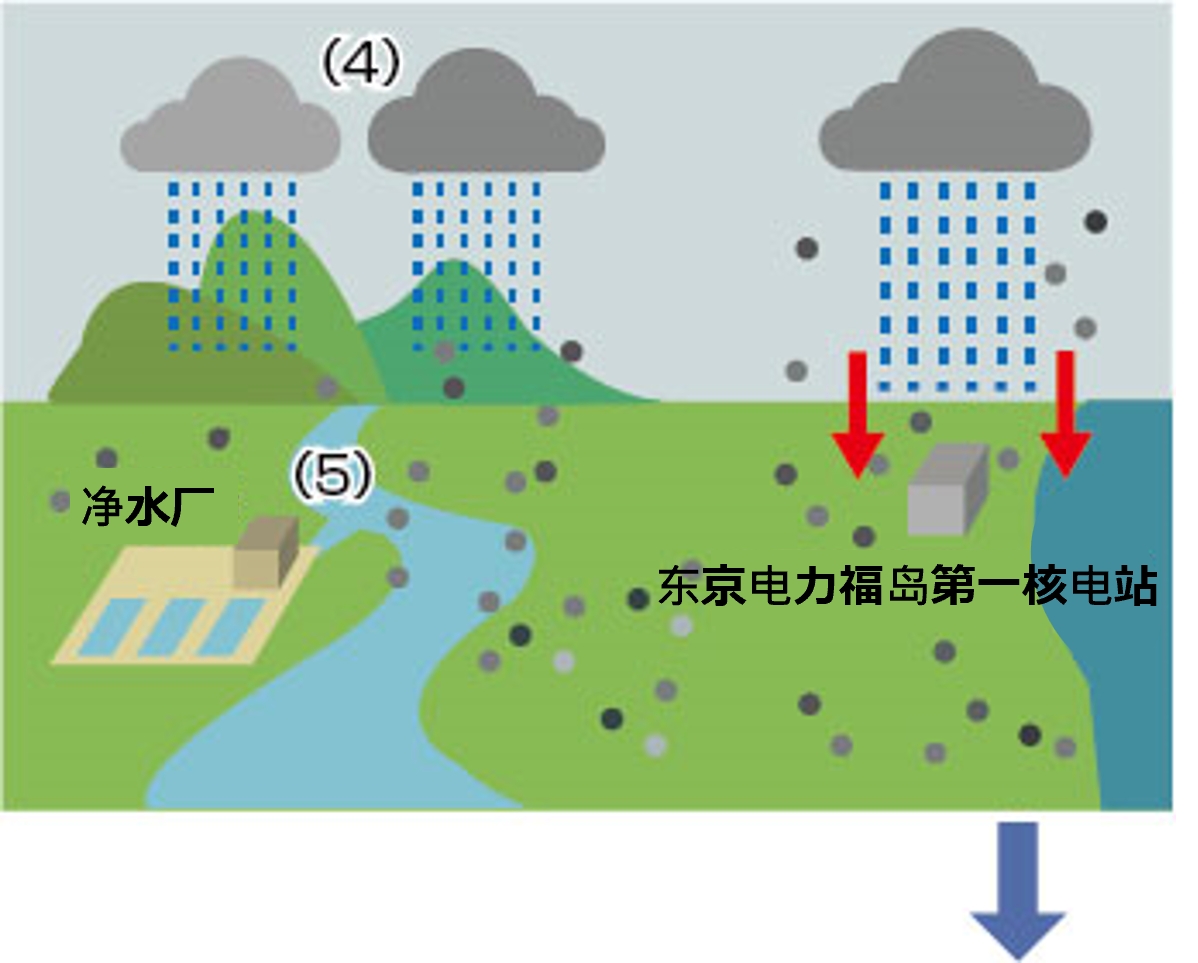 核泄漏发生不久后的影响2