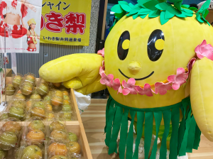 フラキビタン写真