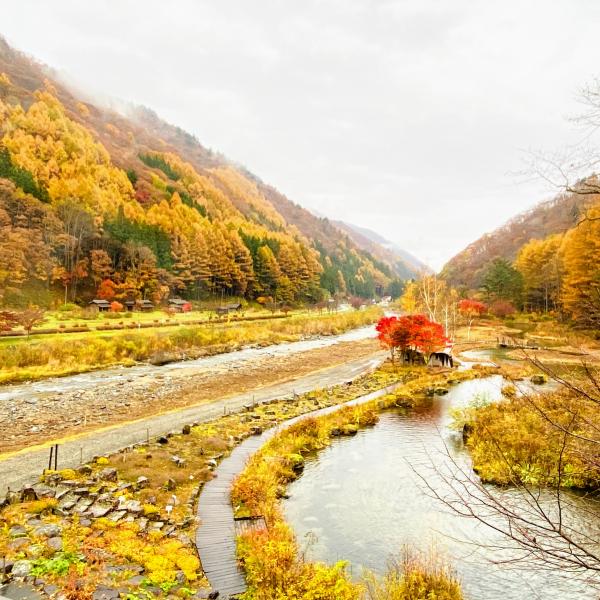 ミニ尾瀬Caféから外を見た絶景