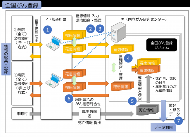 全国がん登録の流れ