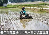 水田除草