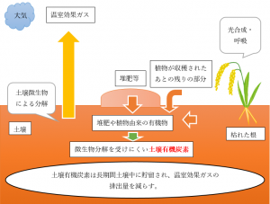 農地管理のイメージ