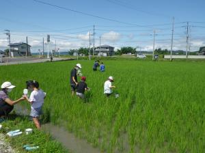 サンプリングしに行く様子