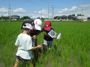 図鑑で生き物を確認