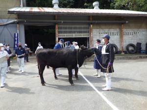 審査の様子