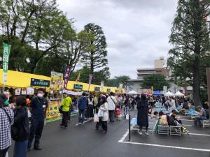 相模原市民若葉まつり写真