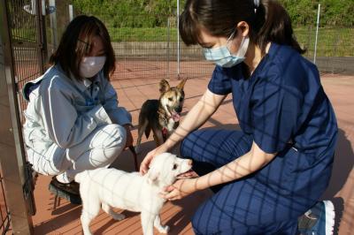 動物愛護センター