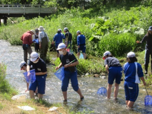川で子どもたちが網を使って水生生物調査をしている