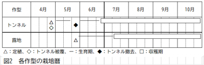 栽培暦