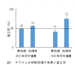 初冬直播き栽培グラフ