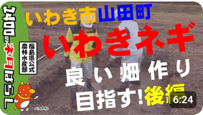 いわき市山田町　いわきネギ　良い畑作り目指す！　後編