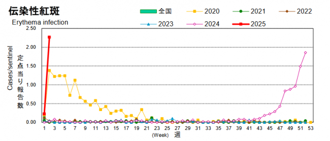 発生動向