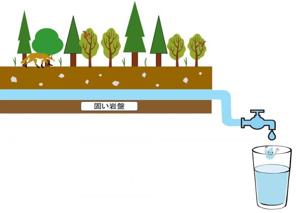 水源かん養機能2