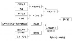 夢の香　系譜