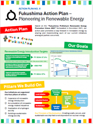 Fukushima Action Plan