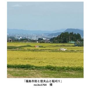 山と町と稲刈り