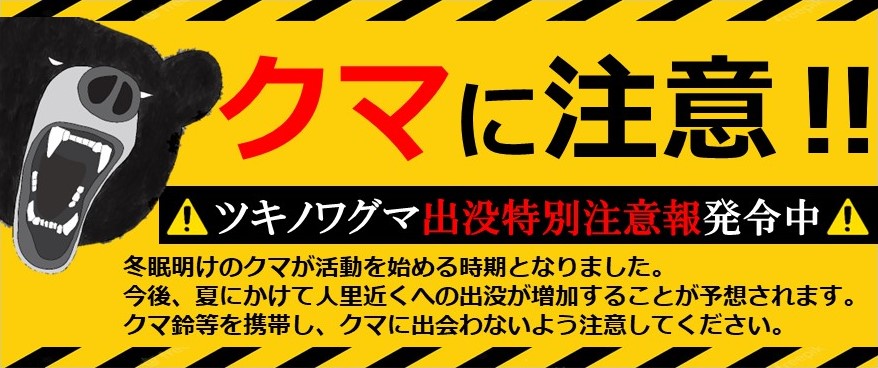 クマに注意‼
