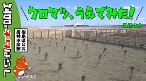 サムネ