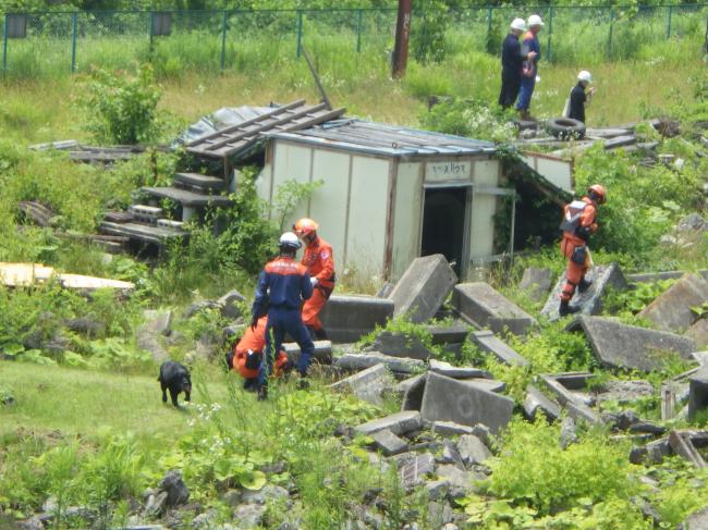 災害救助犬による捜索開始