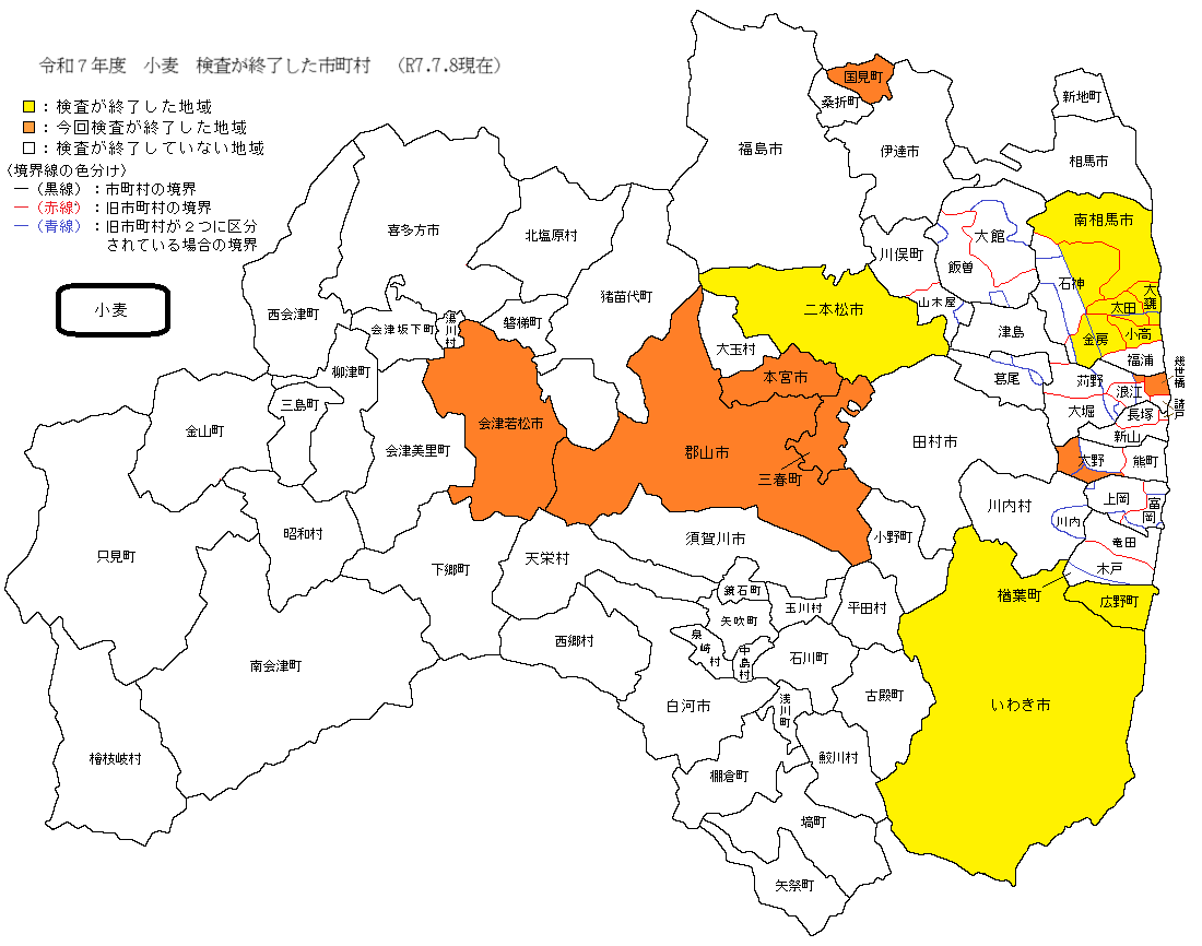 小麦