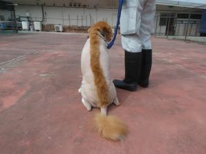 しんたろー3