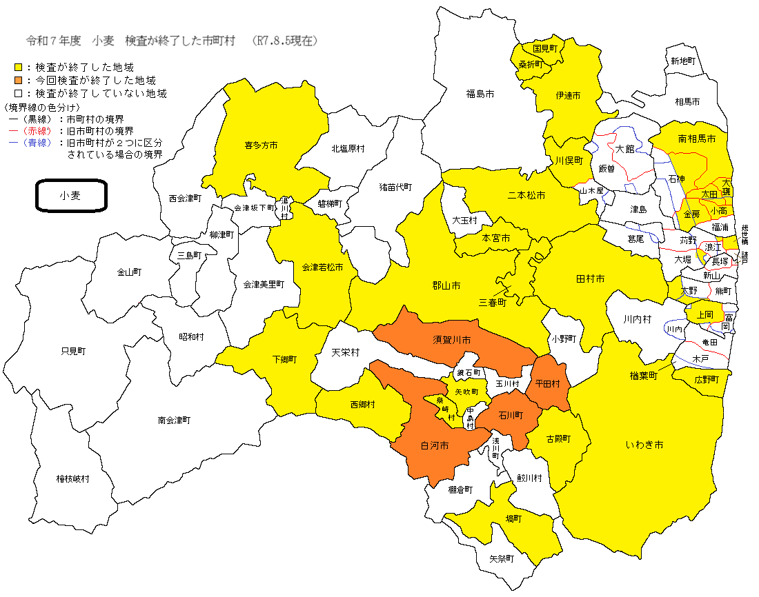 小麦