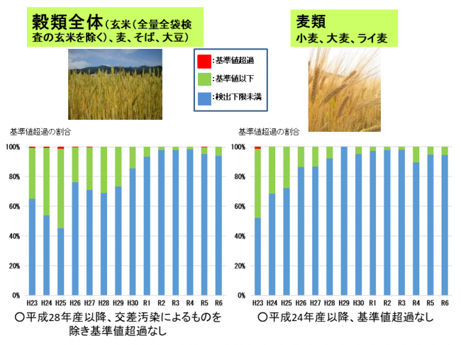 穀類全体・麦類
