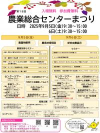 センターまつりチラシ