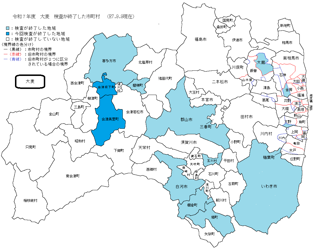 大麦