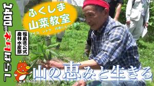 山菜