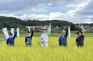 令和７年産「福､笑い」稲刈り写真１