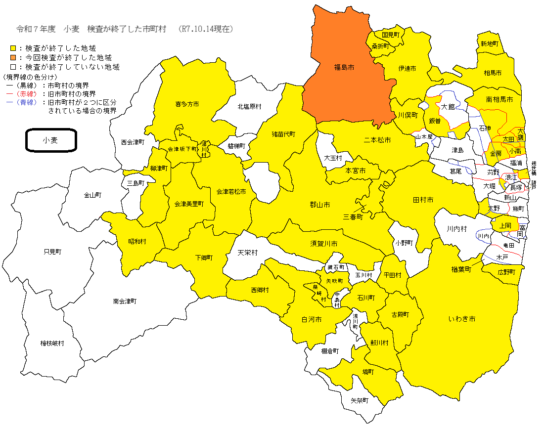 小麦