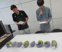 試験の様子