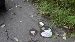 南相馬市_ごみ散乱