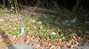 泉崎村_ごみ散乱