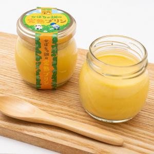 かぼちゃ畑の完熟プリン