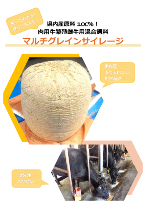 MGSパンフレット