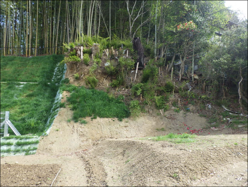 東今田(施工前)