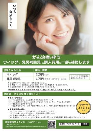 福島県アピアランスケア助成事業について（１）