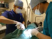 手術中