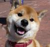 チャオアップ