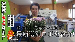 スプレーマム