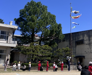 こいのぼり掲揚